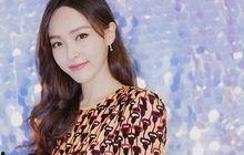 娱乐吃瓜酱灿烂娱乐,灿烂娱乐背后的精彩瞬间